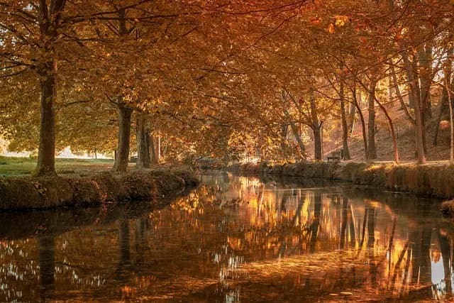 Guide d'Achat : Équipements de Sécurité Agricole